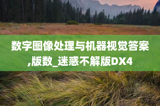 数字图像处理与机器视觉答案,版数_迷惑不解版DX4