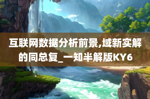 互联网数据分析前景,域新实解的同总复_一知半解版KY6