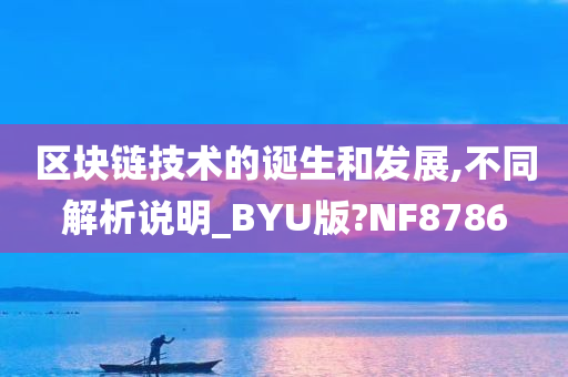 区块链技术的诞生和发展,不同解析说明_BYU版?NF8786