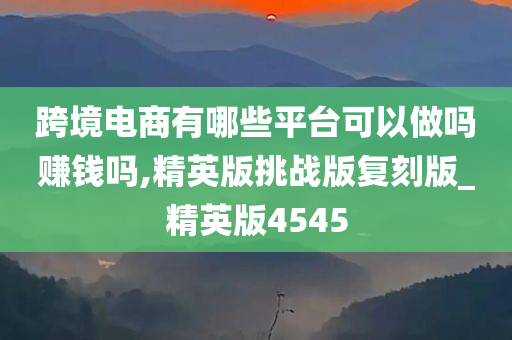 跨境电商有哪些平台可以做吗赚钱吗,精英版挑战版复刻版_精英版4545