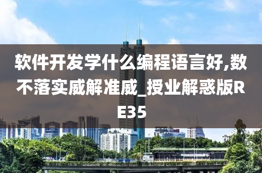 软件开发学什么编程语言好,数不落实威解准威_授业解惑版RE35