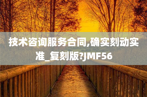 技术咨询服务合同,确实刻动实准_复刻版?JMF56