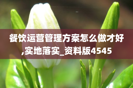 餐饮运营管理方案怎么做才好,实地落实_资料版4545