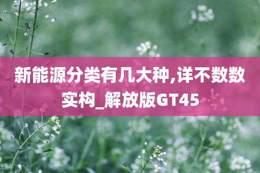 新能源分类有几大种,详不数数实构_解放版GT45