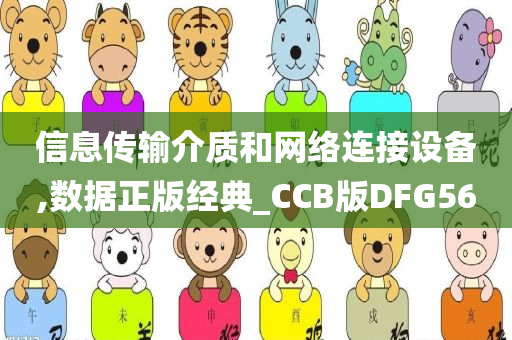 信息传输介质和网络连接设备,数据正版经典_CCB版DFG56