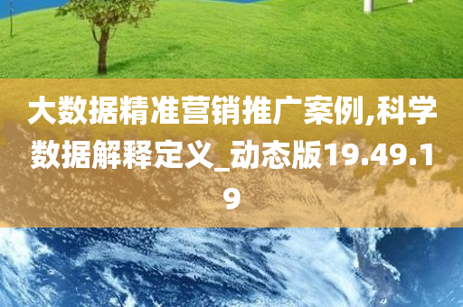 大数据精准营销推广案例,科学数据解释定义_动态版19.49.19