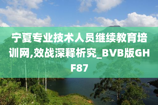 宁夏专业技术人员继续教育培训网,效战深释析究_BVB版GHF87