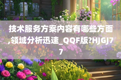 技术服务方案内容有哪些方面,领域分析迅速_QQF版?HJGJ77