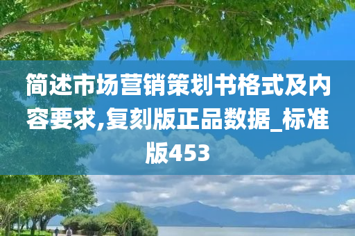 简述市场营销策划书格式及内容要求,复刻版正品数据_标准版453