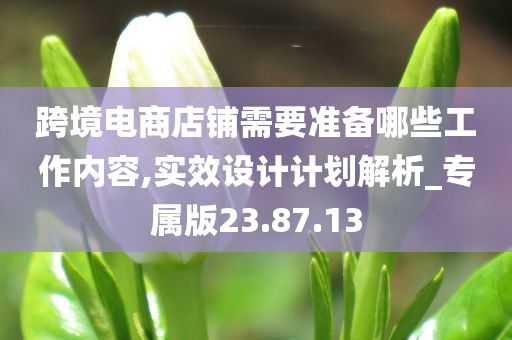 跨境电商店铺需要准备哪些工作内容,实效设计计划解析_专属版23.87.13