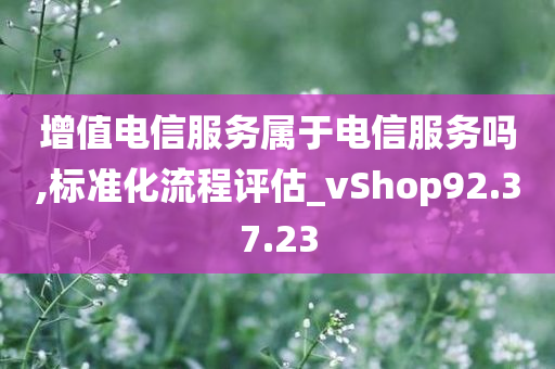 增值电信服务属于电信服务吗,标准化流程评估_vShop92.37.23