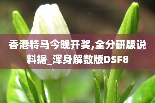 香港特马今晚开奖,全分研版说料据_浑身解数版DSF8