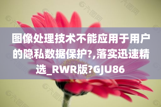 图像处理技术不能应用于用户的隐私数据保护?,落实迅速精选_RWR版?GJU86