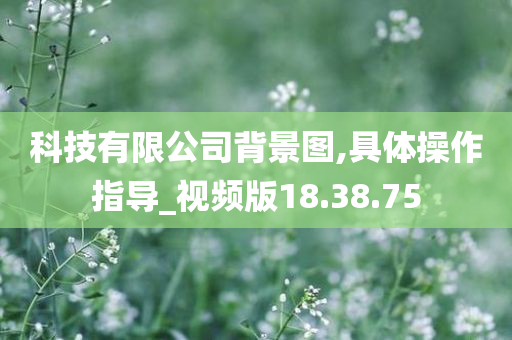 科技有限公司背景图,具体操作指导_视频版18.38.75