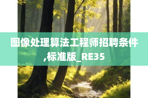 图像处理算法工程师招聘条件,标准版_RE35