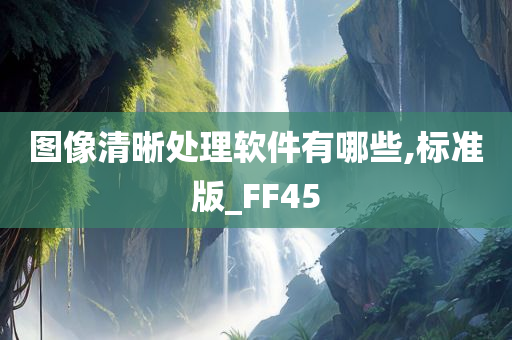 图像清晰处理软件有哪些,标准版_FF45