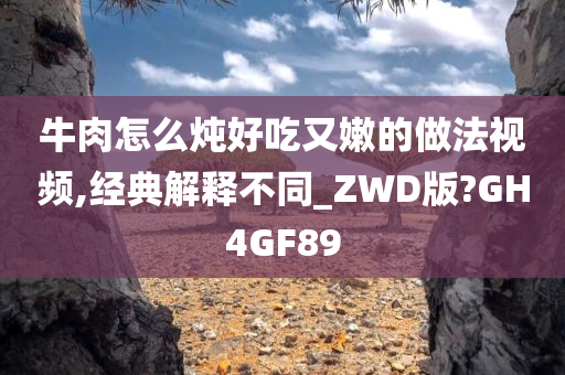 牛肉怎么炖好吃又嫩的做法视频,经典解释不同_ZWD版?GH4GF89