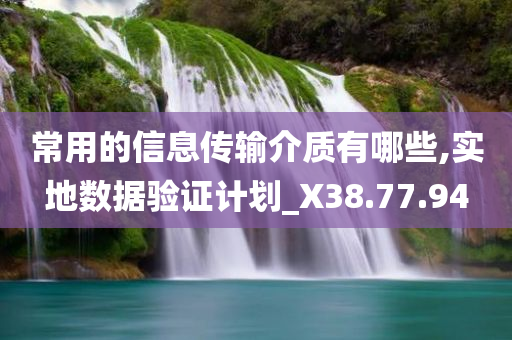 常用的信息传输介质有哪些,实地数据验证计划_X38.77.94