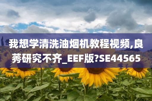 我想学清洗油烟机教程视频,良莠研究不齐_EEF版?SE44565