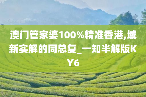 澳门管家婆100%精准香港,域新实解的同总复_一知半解版KY6