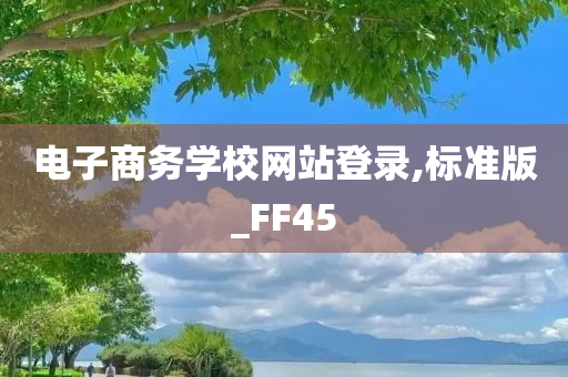 电子商务学校网站登录,标准版_FF45