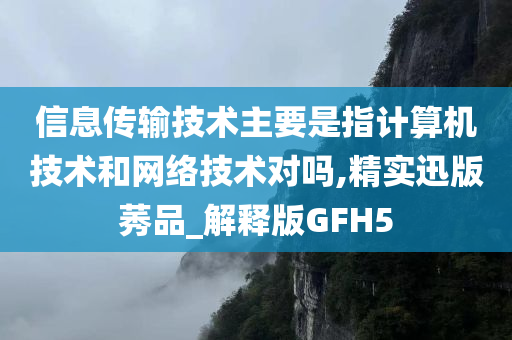 信息传输技术主要是指计算机技术和网络技术对吗,精实迅版莠品_解释版GFH5