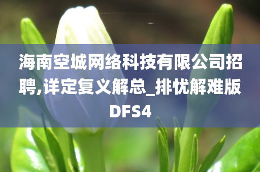 海南空城网络科技有限公司招聘,详定复义解总_排忧解难版DFS4