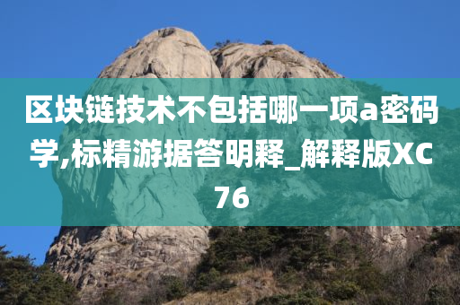 区块链技术不包括哪一项a密码学,标精游据答明释_解释版XC76