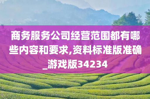 商务服务公司经营范围都有哪些内容和要求,资料标准版准确_游戏版34234