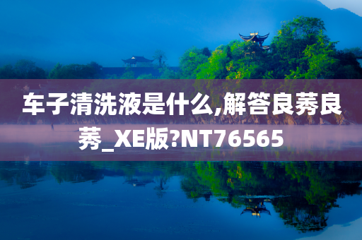 车子清洗液是什么,解答良莠良莠_XE版?NT76565