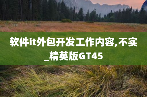 软件it外包开发工作内容,不实_精英版GT45