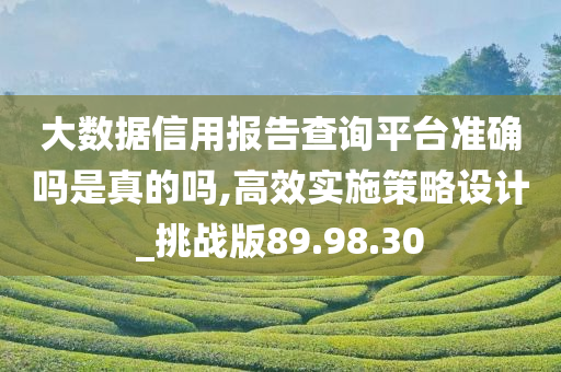 大数据信用报告查询平台准确吗是真的吗,高效实施策略设计_挑战版89.98.30