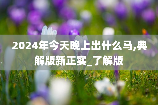 2024年今天晚上出什么马,典解版新正实_了解版