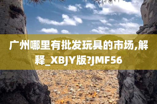 广州哪里有批发玩具的市场,解释_XBJY版?JMF56