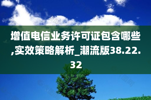 增值电信业务许可证包含哪些,实效策略解析_潮流版38.22.32