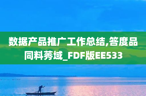 数据产品推广工作总结,答度品同料莠域_FDF版EE533