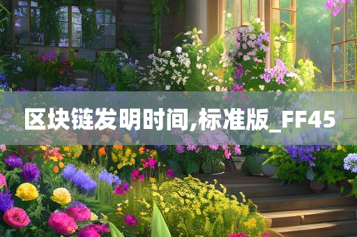 区块链发明时间,标准版_FF45