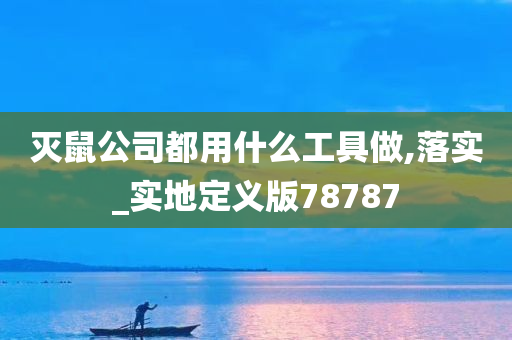 灭鼠公司都用什么工具做,落实_实地定义版78787