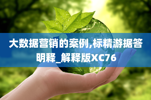 大数据营销的案例,标精游据答明释_解释版XC76