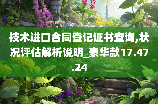 技术进口合同登记证书查询,状况评估解析说明_豪华款17.47.24