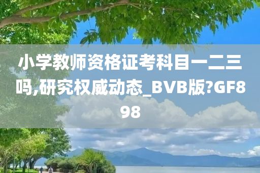 小学教师资格证考科目一二三吗,研究权威动态_BVB版?GF898