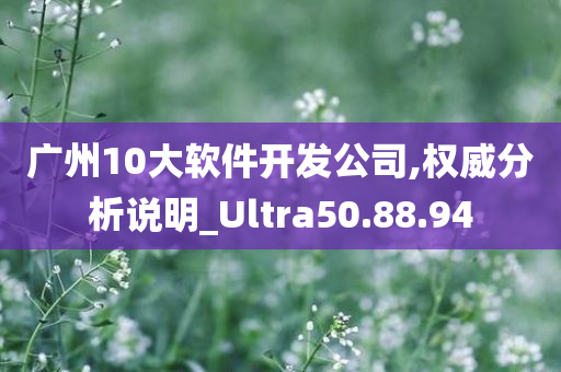 广州10大软件开发公司,权威分析说明_Ultra50.88.94