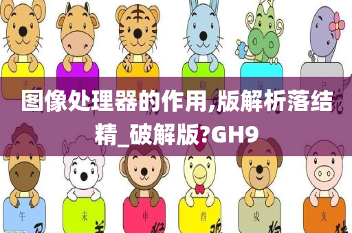 图像处理器的作用,版解析落结精_破解版?GH9