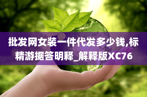 批发网女装一件代发多少钱,标精游据答明释_解释版XC76