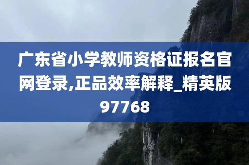 广东省小学教师资格证报名官网登录,正品效率解释_精英版97768