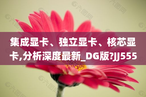 集成显卡、独立显卡、核芯显卡,分析深度最新_DG版?JJ555