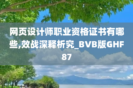 网页设计师职业资格证书有哪些,效战深释析究_BVB版GHF87