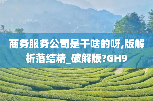 商务服务公司是干啥的呀,版解析落结精_破解版?GH9