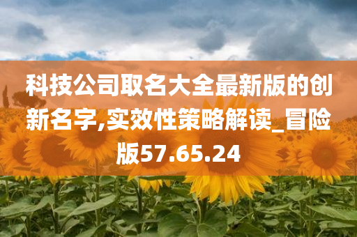 科技公司取名大全最新版的创新名字,实效性策略解读_冒险版57.65.24