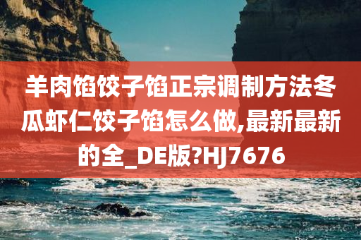 羊肉馅饺子馅正宗调制方法冬瓜虾仁饺子馅怎么做,最新最新的全_DE版?HJ7676